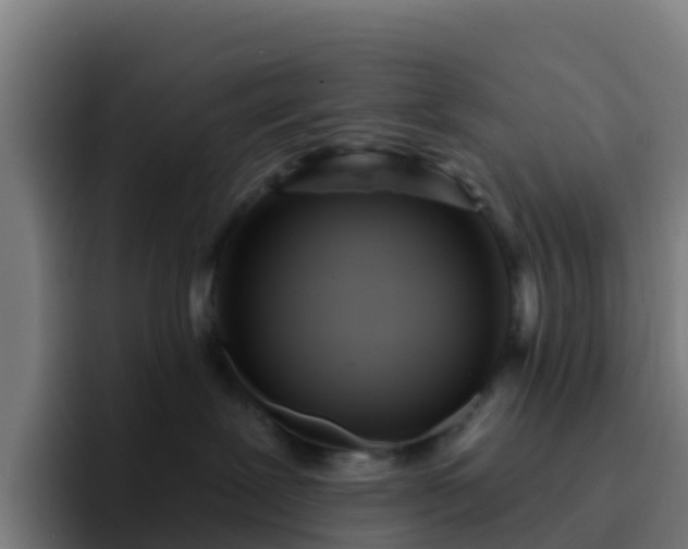 X0000094920239200712061115