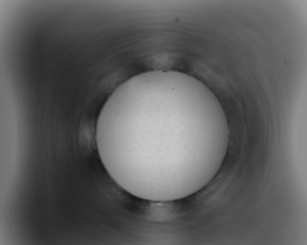 X0000094920240200712061115