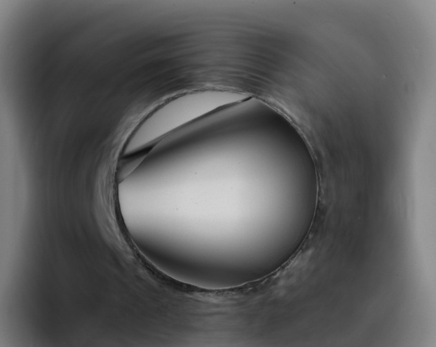 X0000094920241200712061114