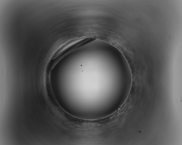 X0000094920242200712061114