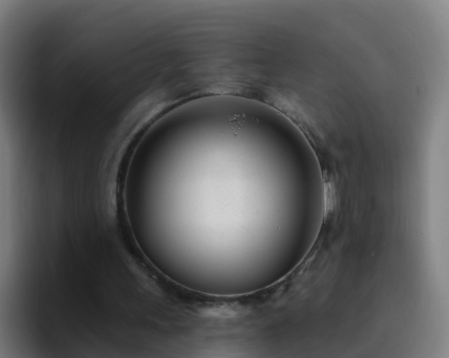 X0000094920243200712061114