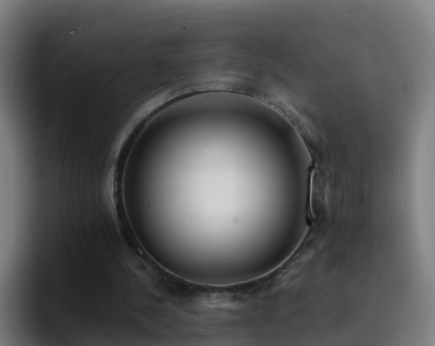 X0000094920244200712061114