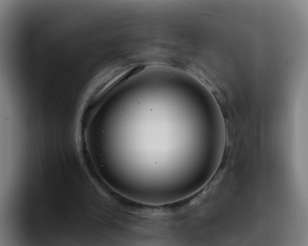 X0000094920245200712061114