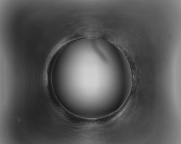 X0000094920246200712061114