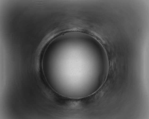 X0000094920247200712061114