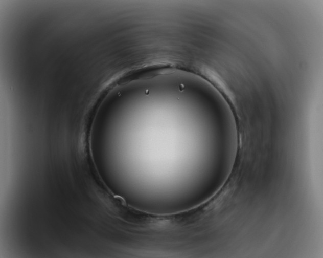 X0000094920249200712061114