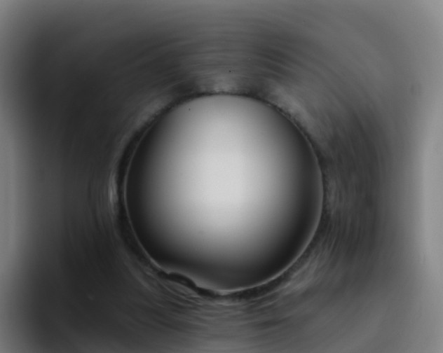 X0000094920251200712061115