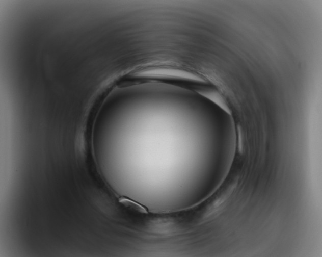 X0000094920252200712061115