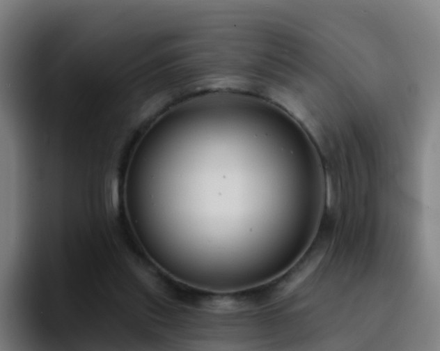 X0000094920253200712061115