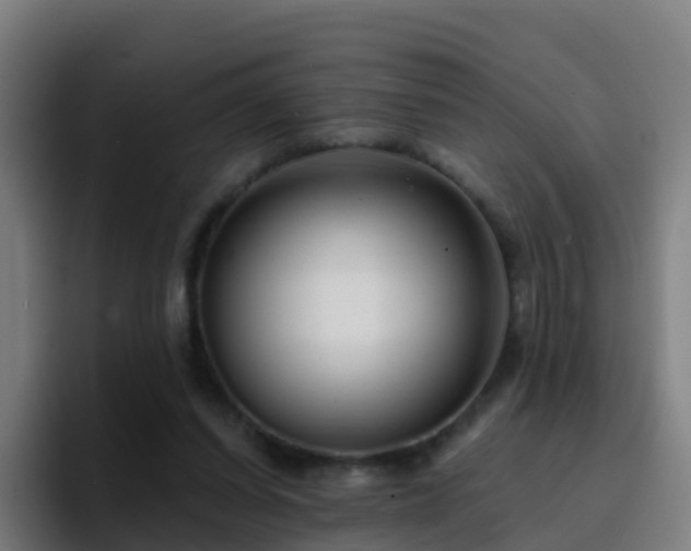 X0000094920254200712061115