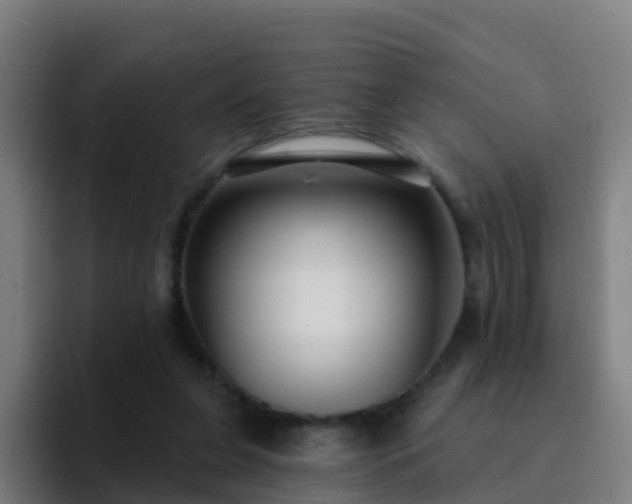 X0000094920255200712061115