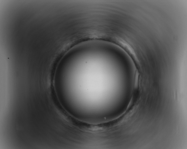 X0000094920257200712061115