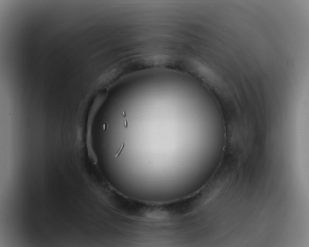 X0000094920258200712061115