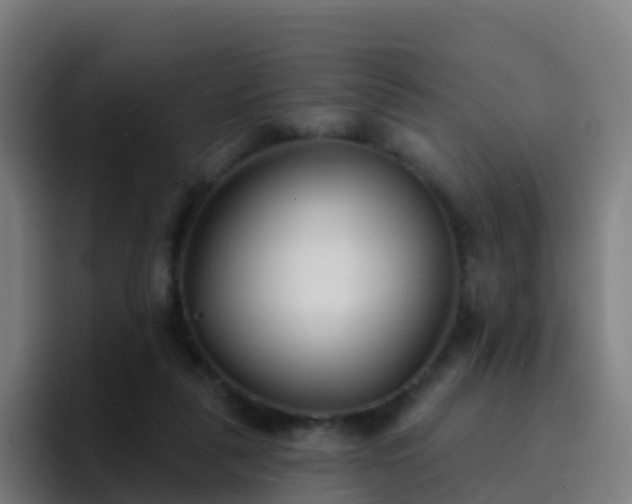 X0000094920259200712061115