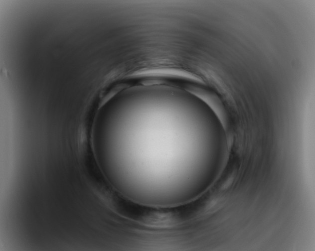 X0000094920260200712061115