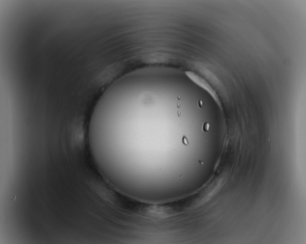 X0000094920261200712061115