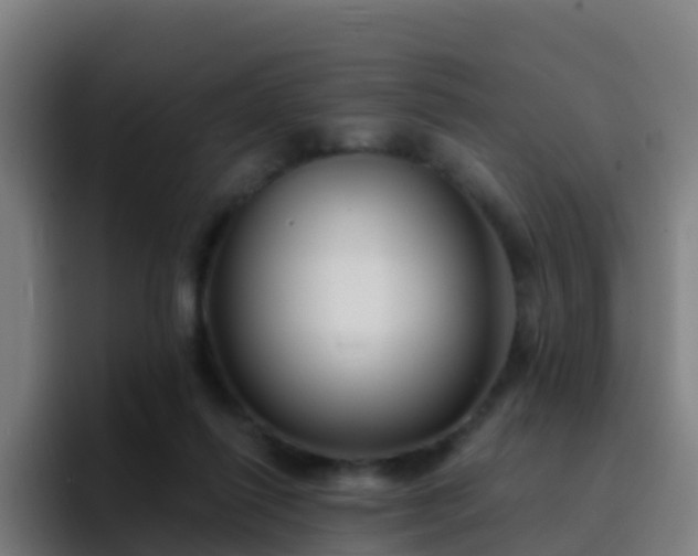 X0000094920262200712061115