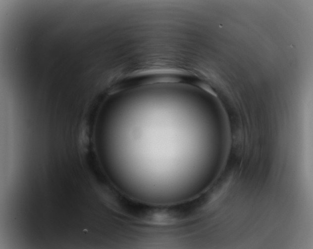 X0000094920264200712061115