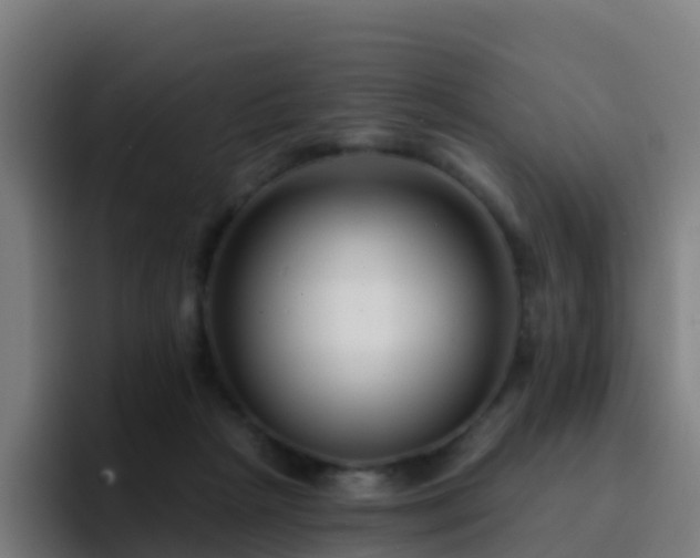 X0000094920265200712061115