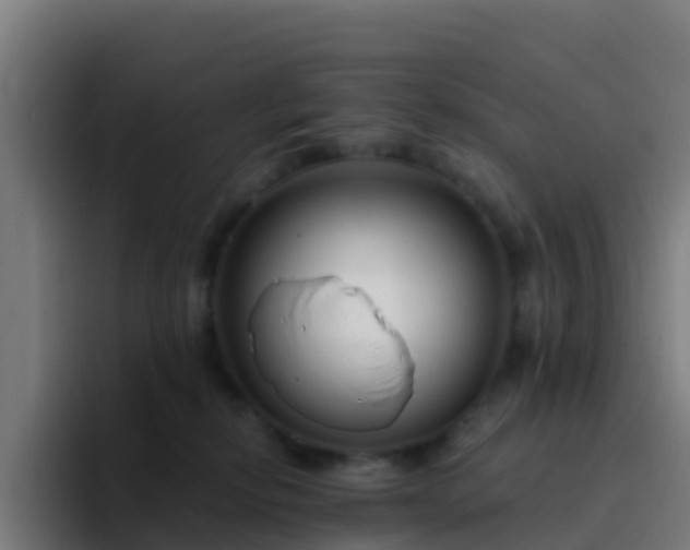 X0000094920278200712061115