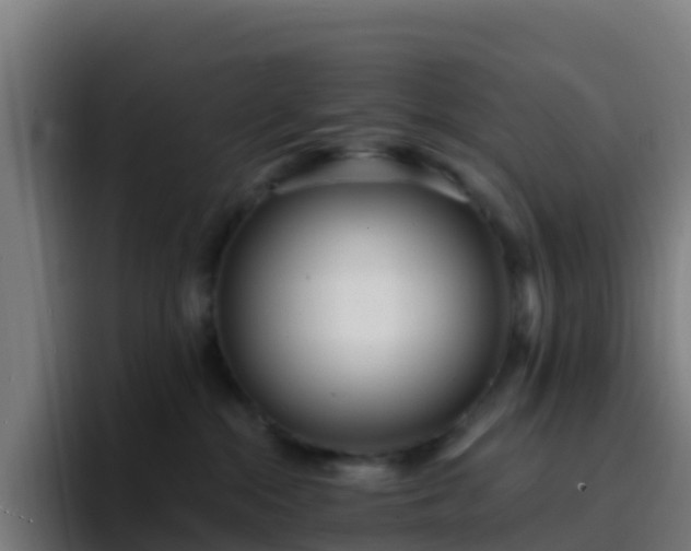 X0000094920284200712061115