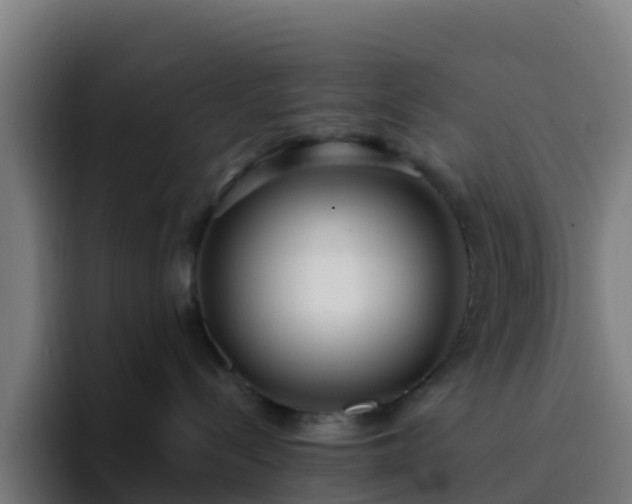 X0000094920288200712061115