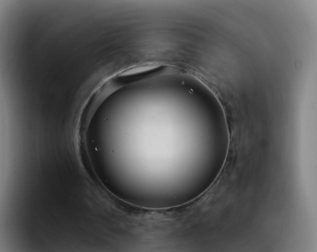 X0000094920290200712061114