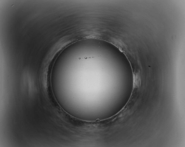 X0000094920291200712061114