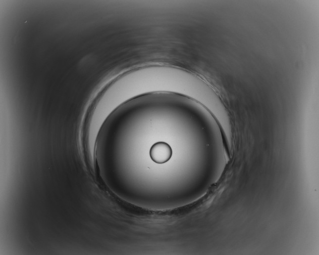 X0000094920292200712061114