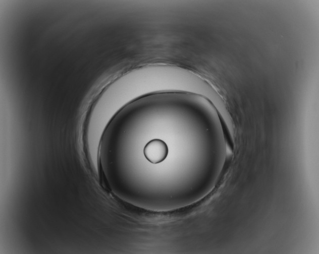 X0000094920293200712061114