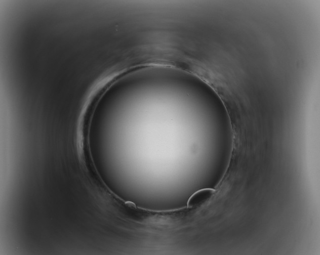 X0000094920294200712061114