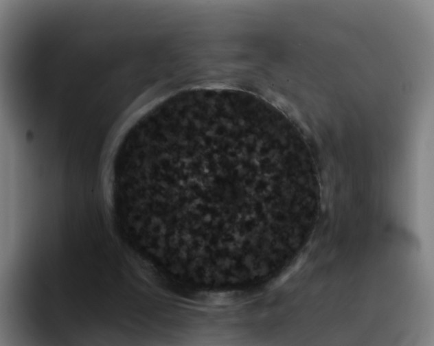 X0000094920295200712061114