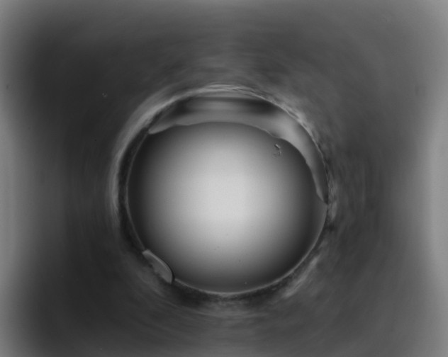 X0000094920296200712061114