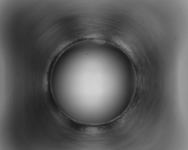 X0000094920298200712061114