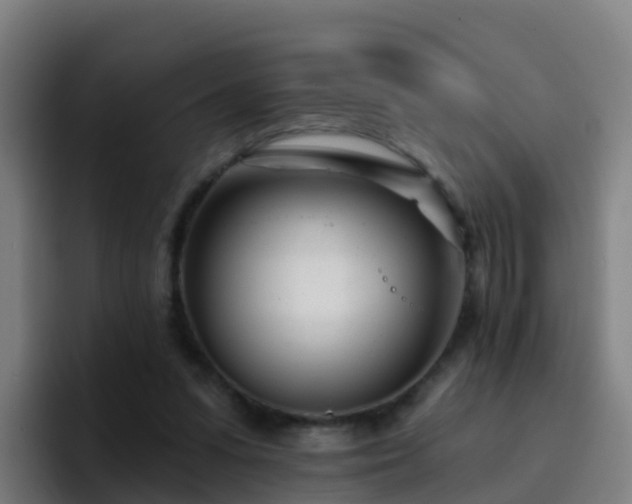 X0000094920303200712061114