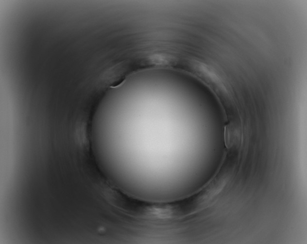 X0000094920317200712061114