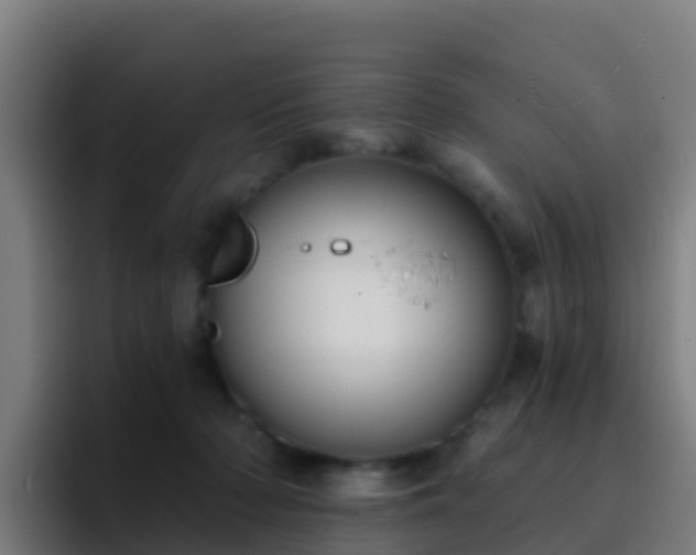 X0000094920318200712061114