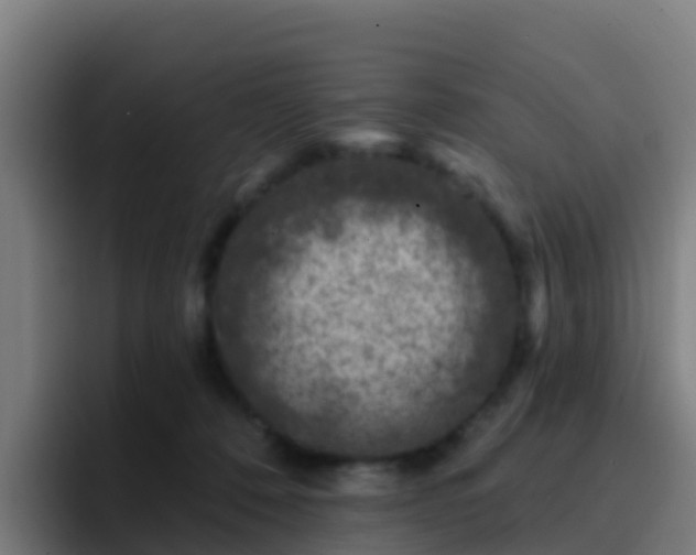 X0000094920320200712061114