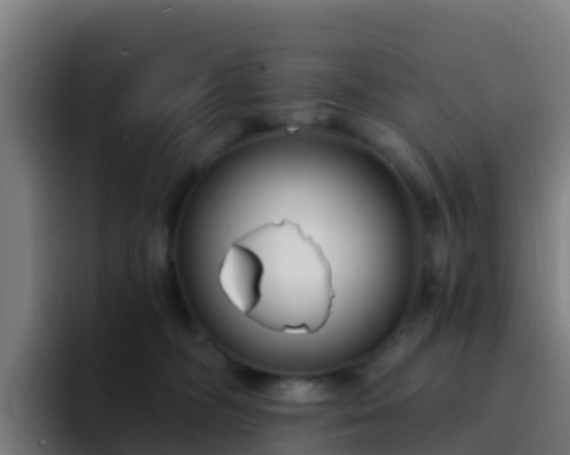 X0000094920326200712061114