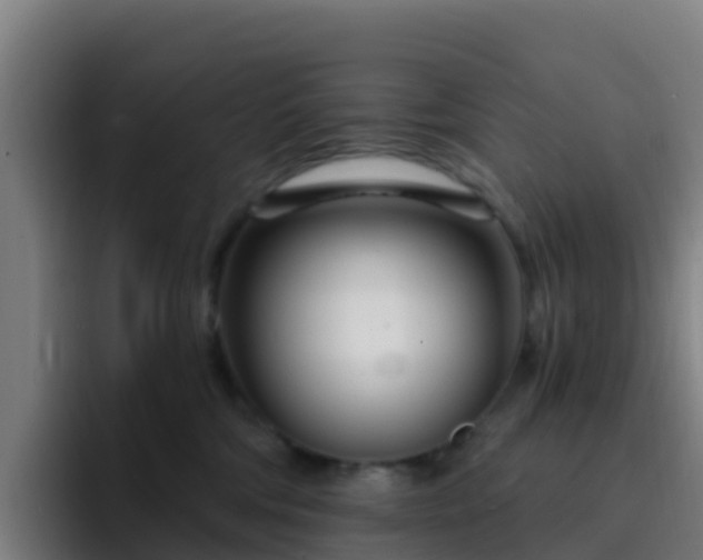 X0000094920330200712061114