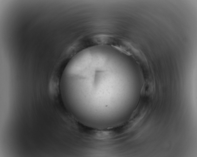 X0000094920332200712061114