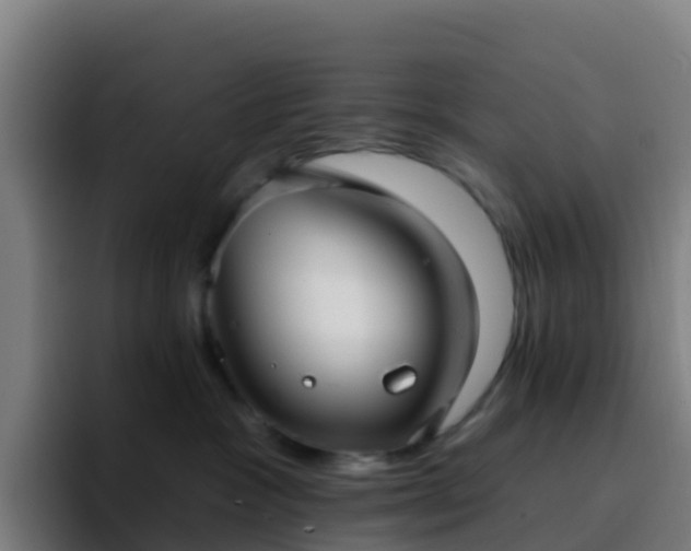 X0000094920333200712061114