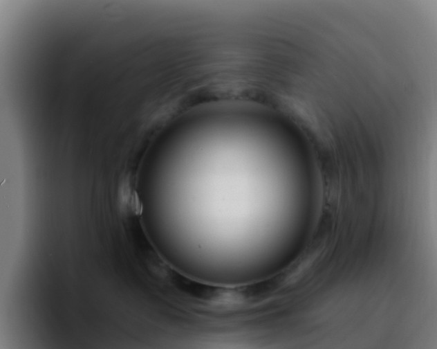 X0000094920335200712061114