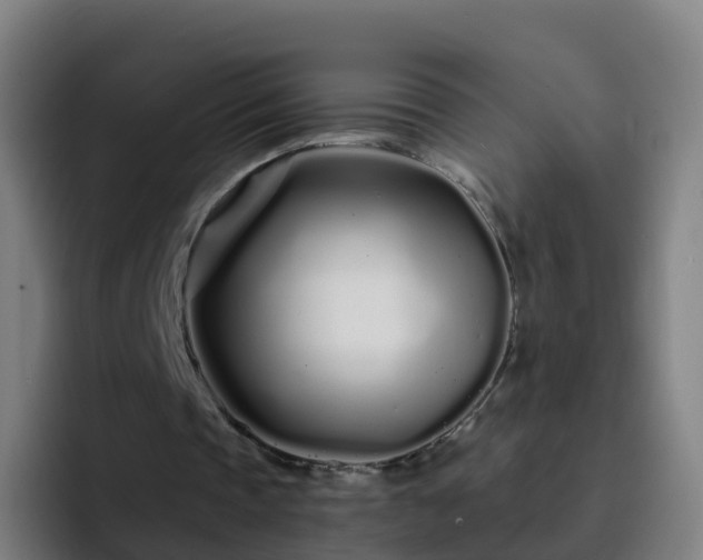 X0000094920337200712061113