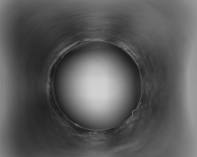 X0000094920338200712061113