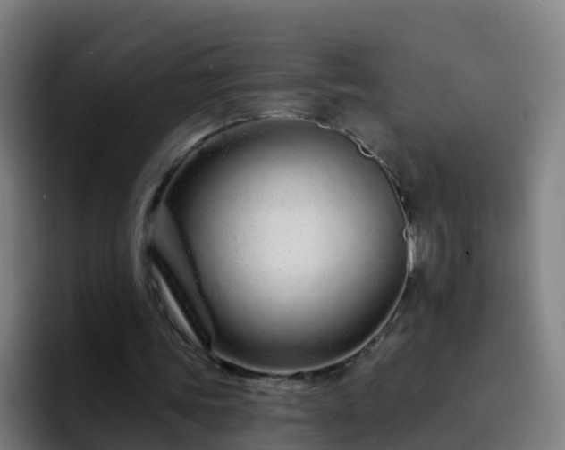 X0000094920339200712061113