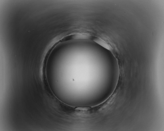 X0000094920340200712061113