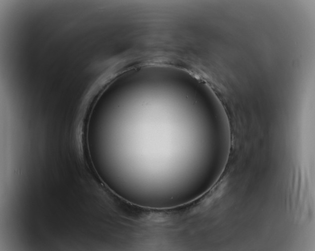 X0000094920341200712061113