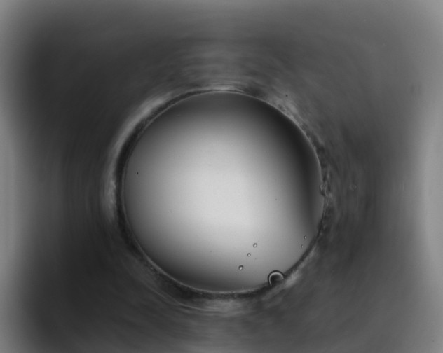 X0000094920342200712061113