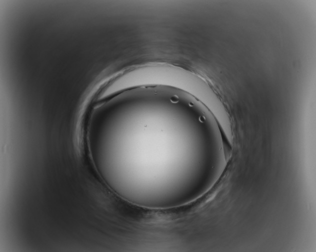 X0000094920343200712061113